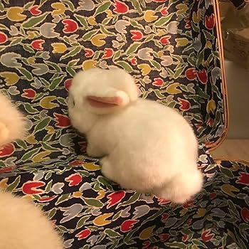 昭和　YOSHITOKU うさぎ ぬいぐるみ 本体 VINTAGE 】70's 80's YOSHITOKU 吉徳 FINE Success 昭和レトロ